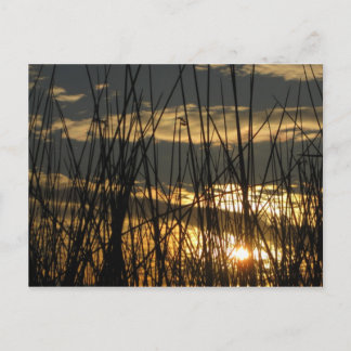 Orlando Sunset Postkarte