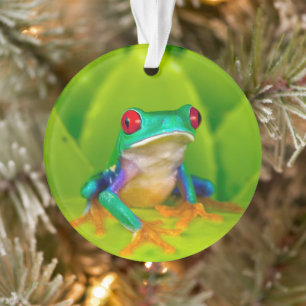  ORNAMENT