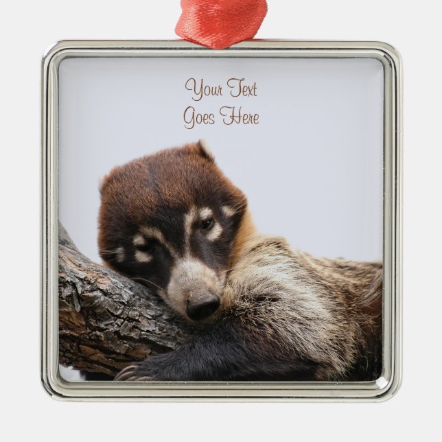 Ornament: Coatimundi #4 (Premium Square) Ornament Aus Metall (Vorne)