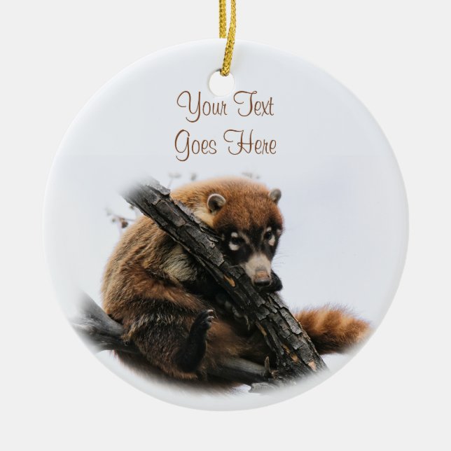 Ornament: Coatimundi #5 (Kreis) Keramikornament (Vorne)