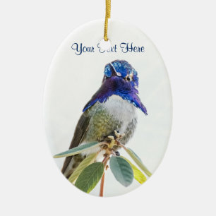 Ornament: Costa's Hummingbird (Oval) Keramik Ornament