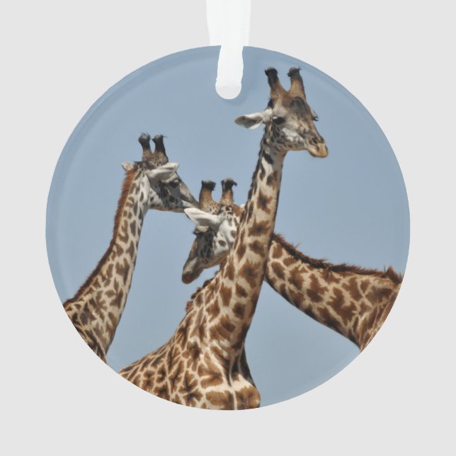 Ornement 1 de safari (dos)