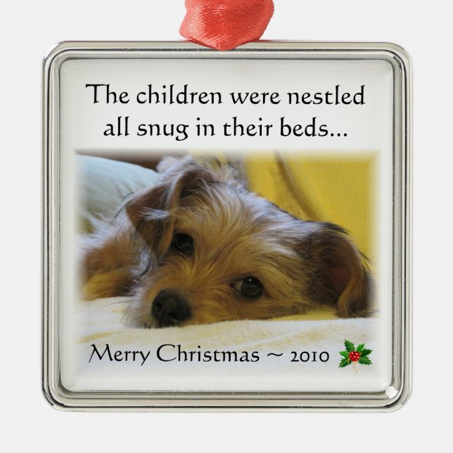 Ornement 2010 de Noël de Lucy (Devant)