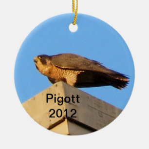 Ornement 2012 de Pigott