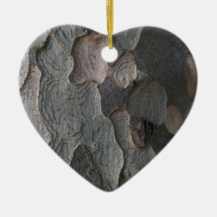 Ornement abstrait de macro d'écorce d'arbre