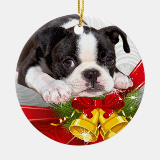 Ornement accrochant de Noël de Boston Terrier (Devant)