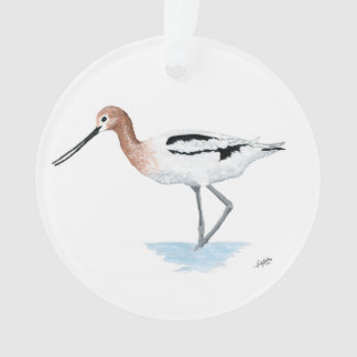 Ornement acrylique Avocet américain