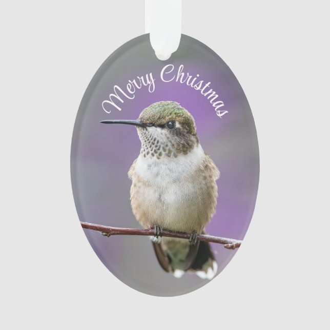 Ornement acrylique colibri de vacances (devant)