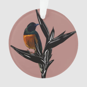 Ornement acrylique de l'oiseau Shama à poil blanc