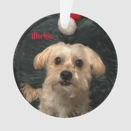 Ornement acrylique de Noël de Morkie
