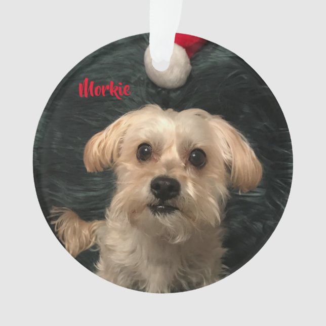 Ornement acrylique de Noël de Morkie (devant)