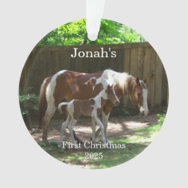Ornement acrylique du 1er cheval de Noël du bébé