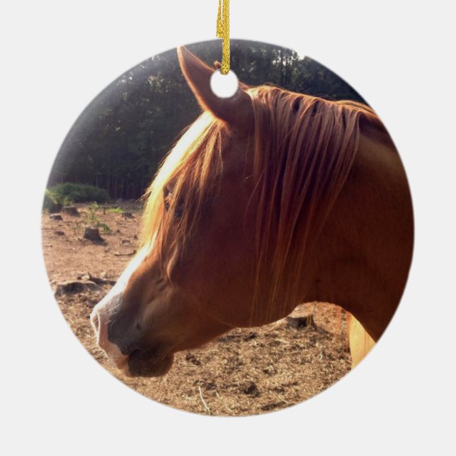 Ornement Arabe de cheval (Dos)