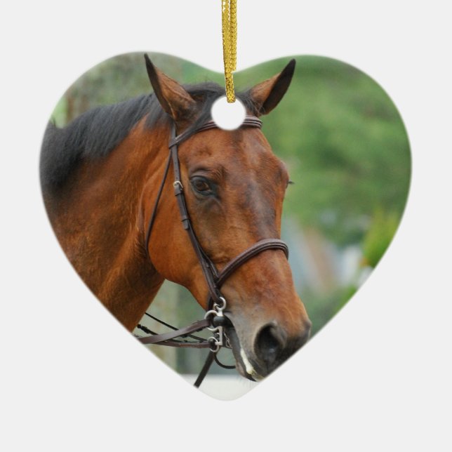 Ornement arabe de cheval de baie (Devant)