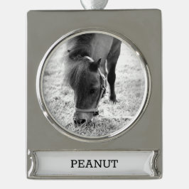 Ornement Bannière Argenté Cavalier Amateur de Cheval PHOTO NOM Cadeau Souven