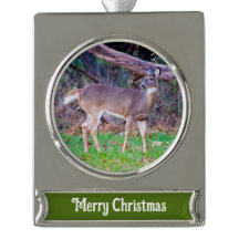 Cerf