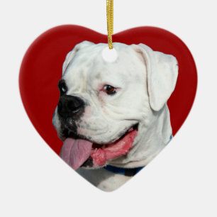 Ornement blanc de chien du boxeur de Valentine