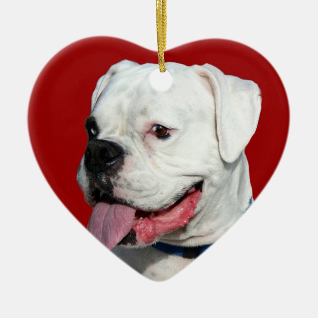 Ornement blanc de chien du boxeur de Valentine (Devant)
