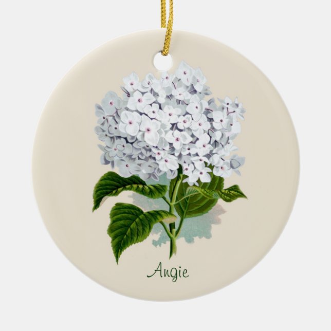 Ornement blanc d'hortensia (Devant)