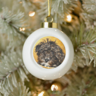 Ornement Boule de Schnoodle