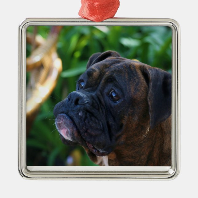 Ornement Brindle de chien de boxeur (Devant)