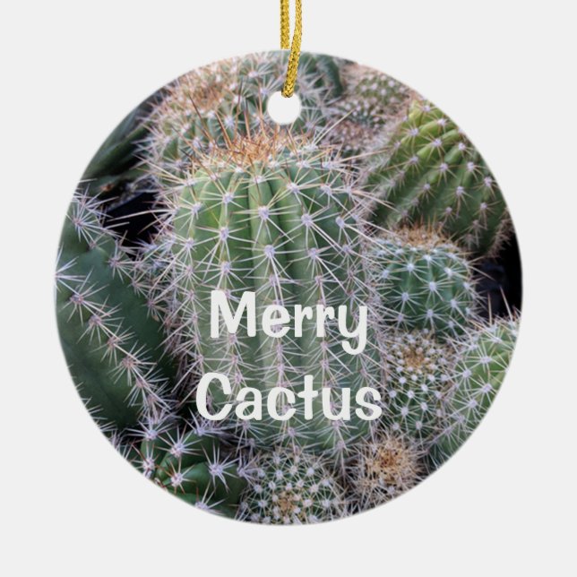 Ornement Cactus (Devant)