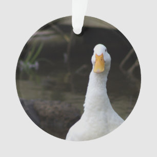 Ornement Canard Blanc