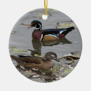 Ornement Canards Branchus