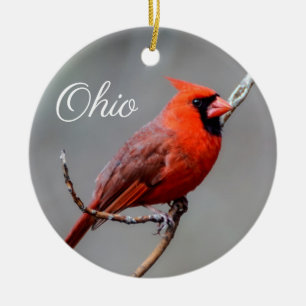Ornement cardinal de l'Ohio