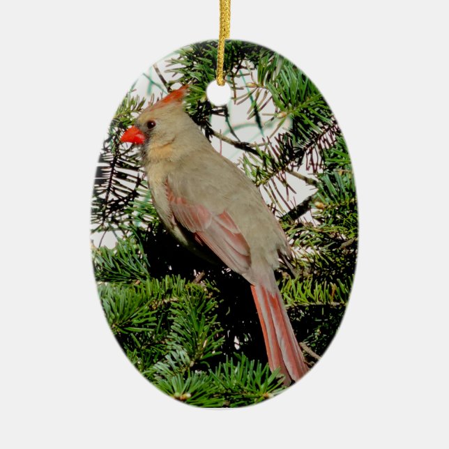 Ornement cardinal femelle de Noël (Devant)