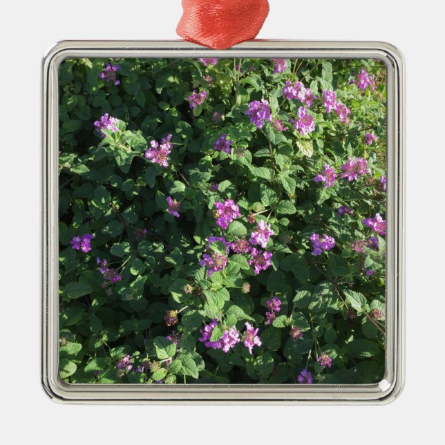 Ornement carré (Devant)