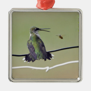 Ornement Carré Argenté Abeille de colibri et de miel