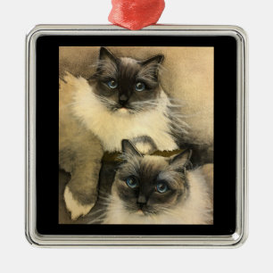 Ornement Carré Argenté Adorable Chats Ragdoll aux yeux bleu vif