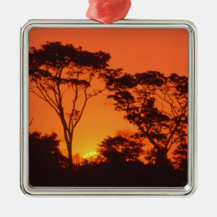 Ornement Carré Argenté Afrique du Sud. Coucher de soleil africain.