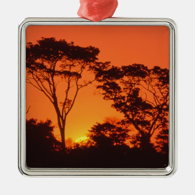 Ornement Carré Argenté Afrique du Sud. Coucher de soleil africain. (Devant)