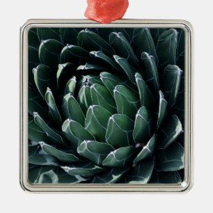 Ornement Carré Argenté Agave vert