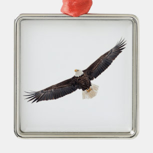 Ornement Carré Argenté Aigle royal en vol