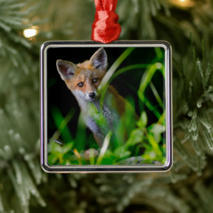 Ornement Carré Argenté Animaux de bébés cutest Baby Red Fox