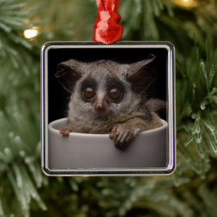 Ornement Carré Argenté Animaux de bébés cutest   Bébé mignon