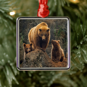 Ornement Carré Argenté Animaux de bébés cutest   Famille d'ours Brown
