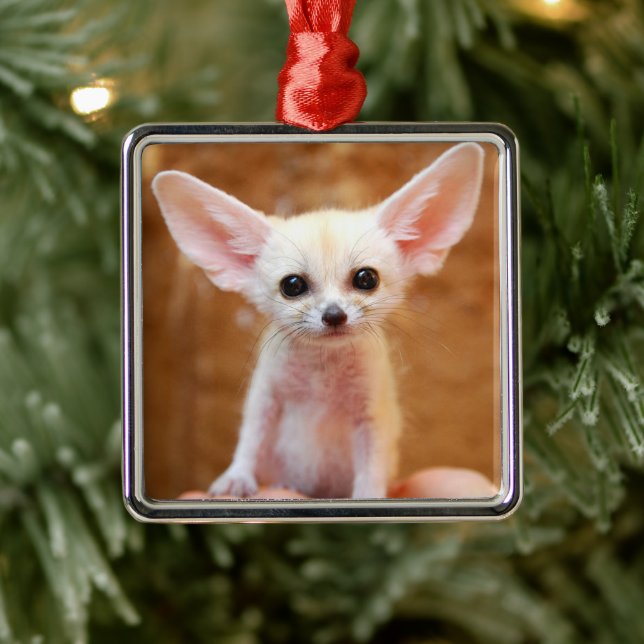 Ornement Carré Argenté Animaux de bébés cutest | Fennec Fox (Arbre)