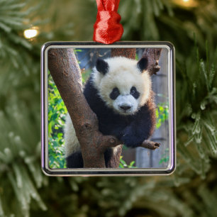 Ornement Carré Argenté Animaux de bébés cutest Géant Panda Cub