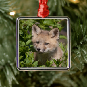 Ornement Carré Argenté Animaux de bébés cutest   Kit Fox