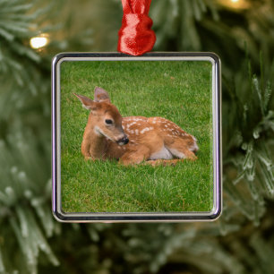 Ornement Carré Argenté Animaux de bébés cutest   Little Fawn