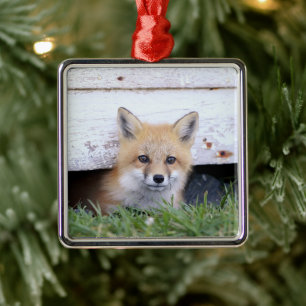 Ornement Carré Argenté Animaux de bébés cutest Red Fox Kit Peeking