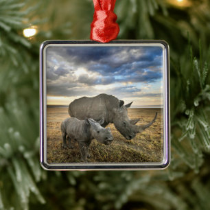 Ornement Carré Argenté Animaux de bébés cutest White Rhino & Calf