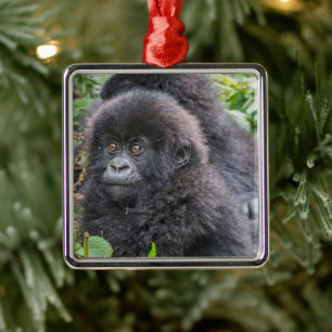 Ornement Carré Argenté Baby Mountain Gorilla