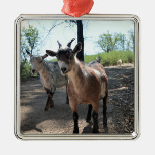 Ornement Carré Argenté Baka & LuLit, Happy Goats Ornament