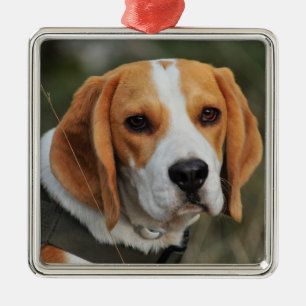 Ornement Carré Argenté Beagle Hound Dog