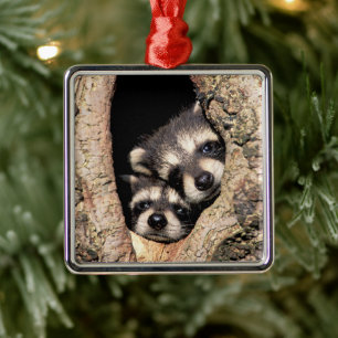 Ornement Carré Argenté Bébé Raccoons se jetant dans l'arbre